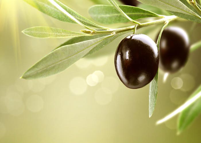 Olive noire Nyons | La Ferme Reynaud